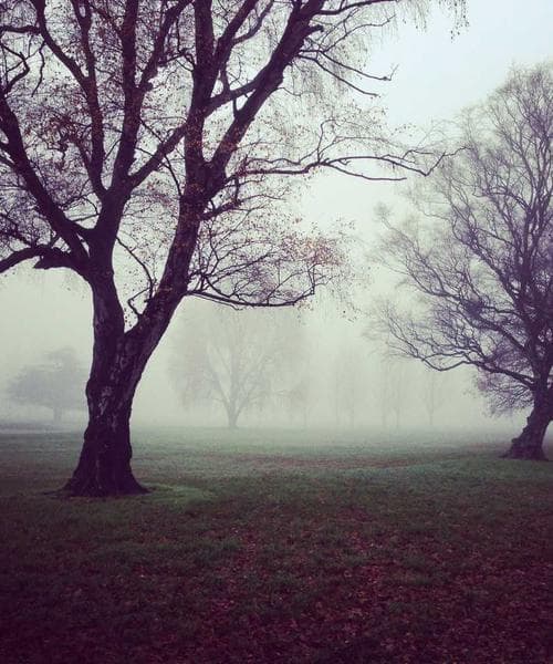 Students working on a group project
