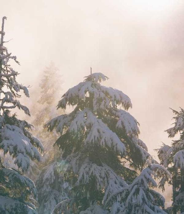 Student painting in an art class at GD Goenka Rewari