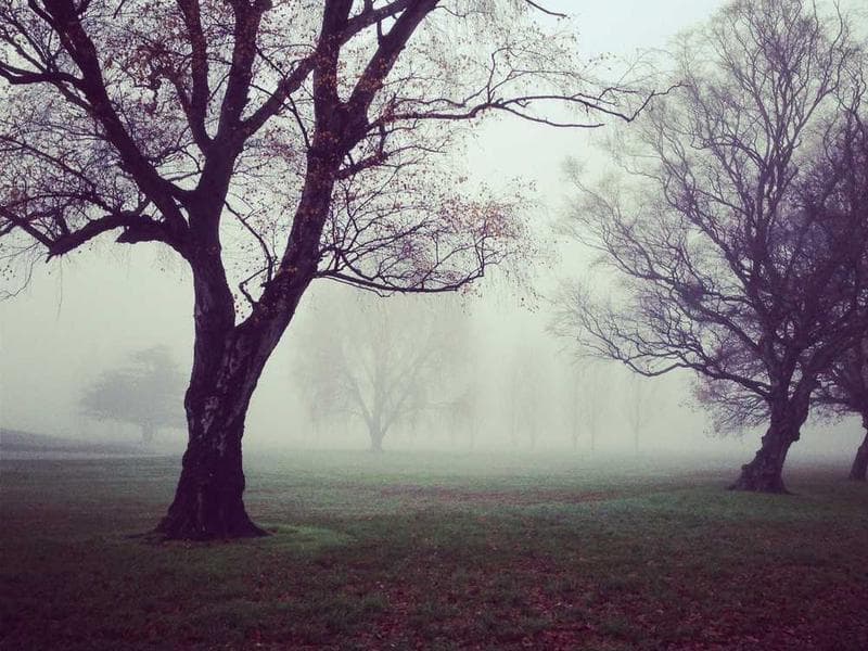 Auditorium & Assembly Hall