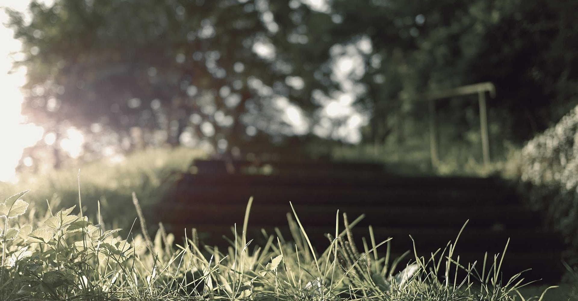 Academics at GD Goenka Rewari