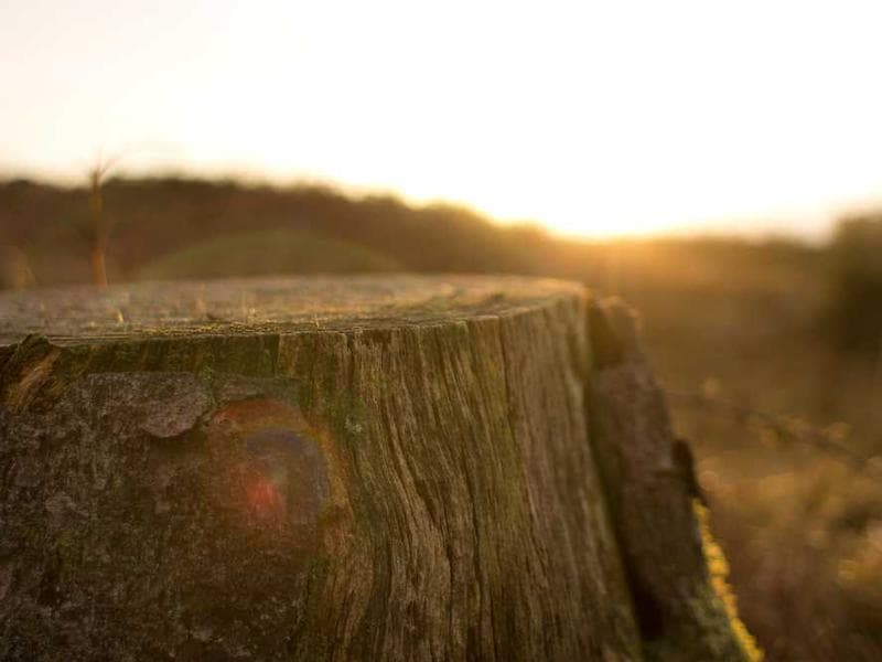 Library & Resource Center